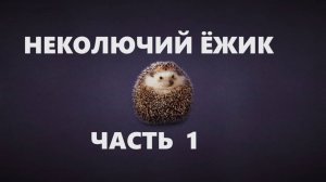 Вязаный ёжик (часть 1).Игрушки.(август 2024г)