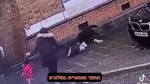 собака напала на детей и женщину