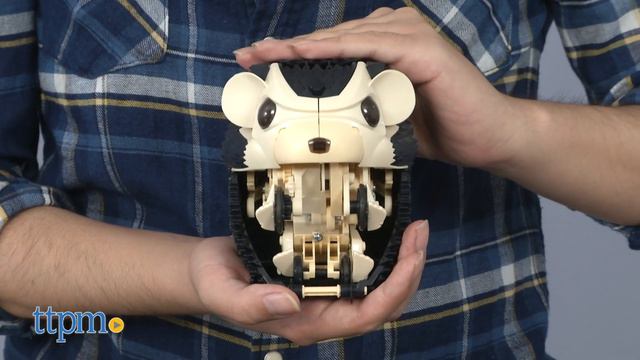 My Robotic Pet Tumbling Hedgehog Review from Thames & Kosmos смотреть онлайн