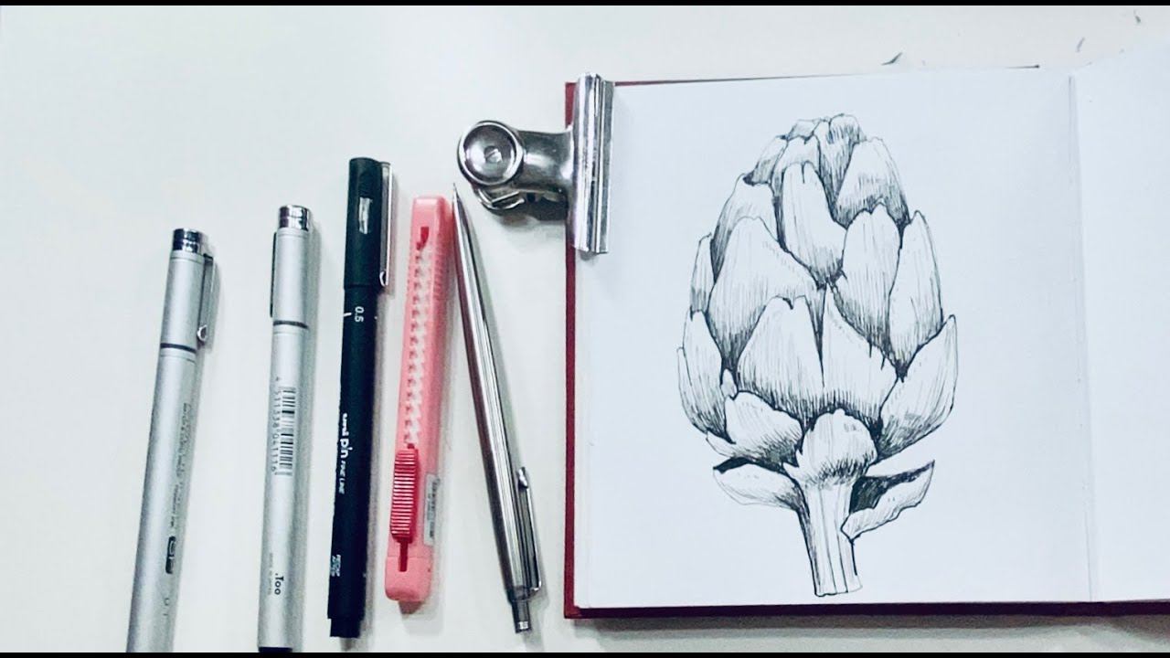 Как нарисовать артишок. Графика ручкой. смотреть онлайн