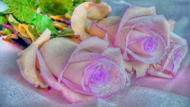 Очень красивый футаж розы для любимой смотреть онлайн