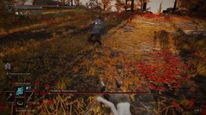 Лучшее оружие Черный нож Elden Ring