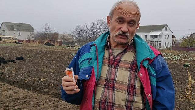 СПОСОБЫ ВСПАШКИ ПОД ЗИМУ. СЕЕМ ПАСТЕРНАК И ЛУК НА ЗИМУ . смотреть онлайн