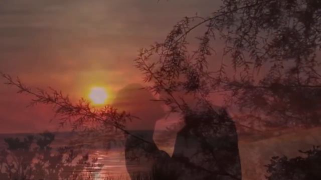 Тополиная любовь смотреть онлайн