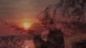 Тополиная любовь