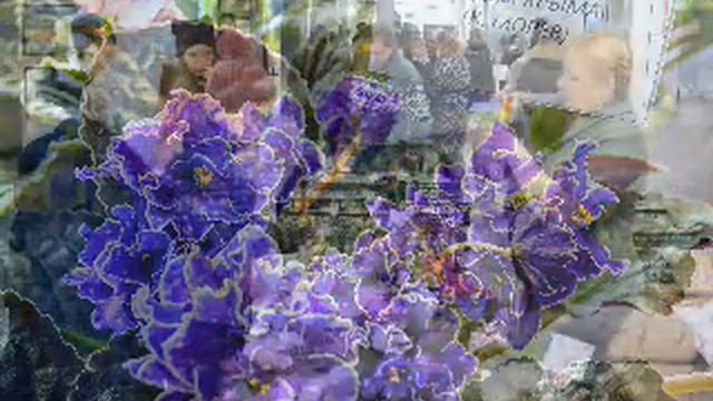 Выставка "Цветы для души", 2-3 марта 2019 смотреть онлайн