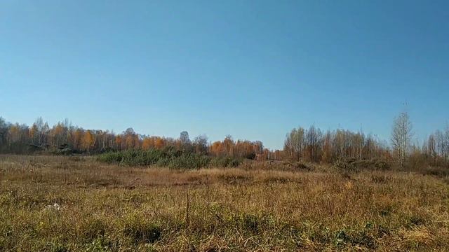 ДОМ НА ОКРАИНЕ ГОРОДА НОВОСИБИРСКА! ХОТЕЛИ БЫ ТУТ ЖИТЬ! смотреть онлайн