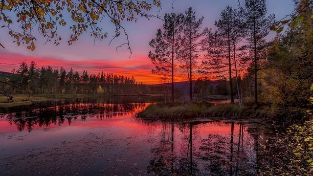 Алексей Мандельштам - Улетела (Не улетай)