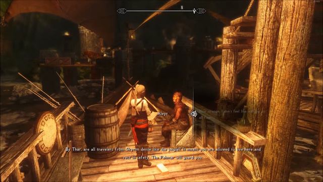 Let's Play ◇ Skyrim - Moonpath to Elsweyr #2 смотреть онлайн