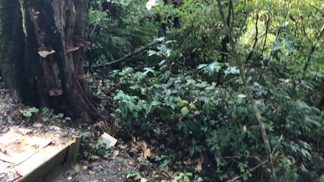 ЖК Романовский. Новая лестница к морю в Сочи. АН Гарант-Сервис Сочи смотреть онлайн