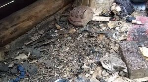 ЧЕРДАЧНЫЙ ПОИСК "КАК Я ЛОШАДЬ СПАСАЛ"