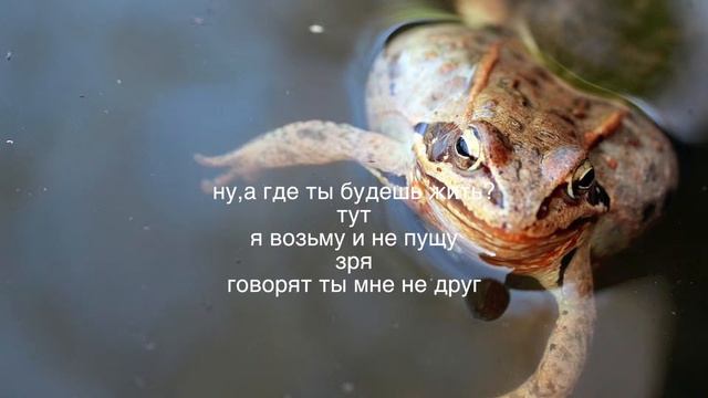 "грусть"(разговор) караоке муз Олега Сапегина сл. Юлии Вихаревой смотреть онлайн