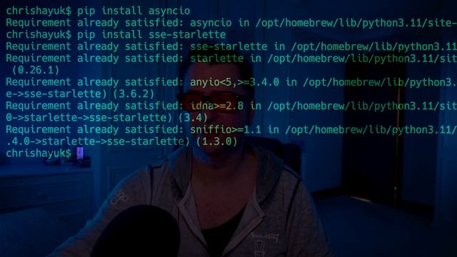 Build an Alpaca/Vicuna 13B Streaming API with Python, FastAPI & Starlette смотреть онлайн