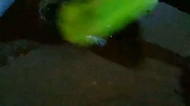 ? Козинаки из семечек ? смотреть онлайн