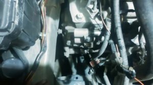 Хонда торнео.