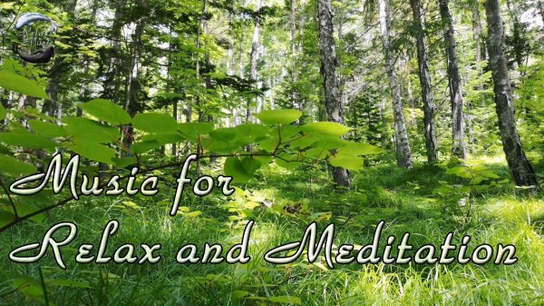 Спокойная музыка для медитации, отдыха и устранения стресса