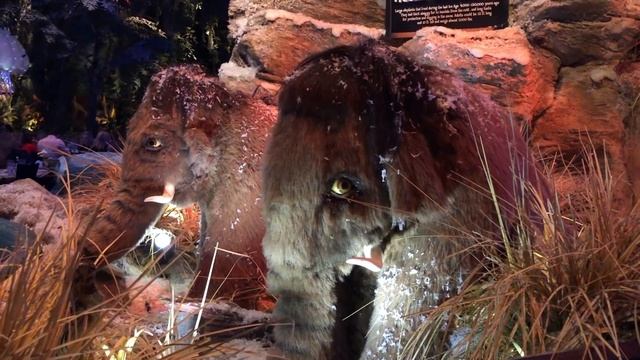 Догулялись, что потеряли машину . смотреть онлайн