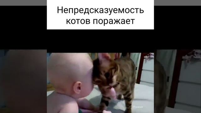 угостил. mp4 смотреть онлайн