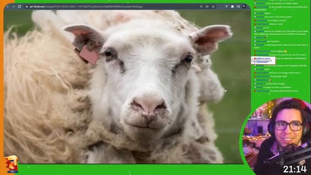 SUBSURF RÁPIDO - Blender Hoy LIVE #178 смотреть онлайн