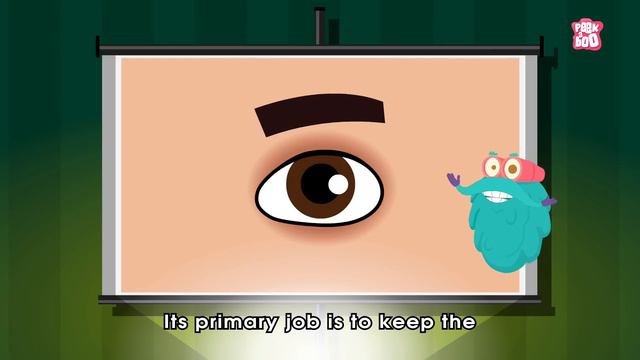 What Causes Conjunctivitis? | CONJUNCTIVITIS | Pink-Eye | The Dr Binocs Show | Peekaboo Kidz смотреть онлайн