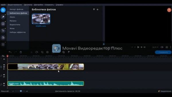 Как скачать movavi video editor plus БЕСПЛАТНО!?