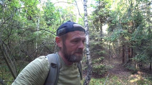 ВЕРНУЛИСЬ НА ГРИБНОЕ МЕСТО А ТАМ..! ГРИБНАЯ ЛИХОРАДКА ПРОДОЛЖАЕТСЯ! смотреть онлайн