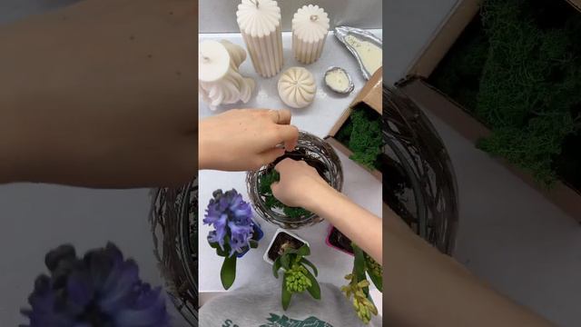 Весенняя композиция с гиацинтами смотреть онлайн