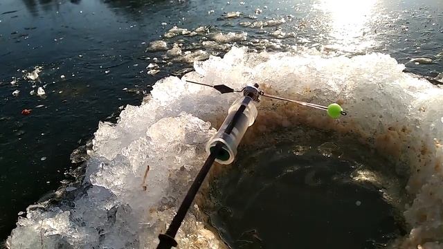 Электронный сигнализатор для зимней рыбалки смотреть онлайн