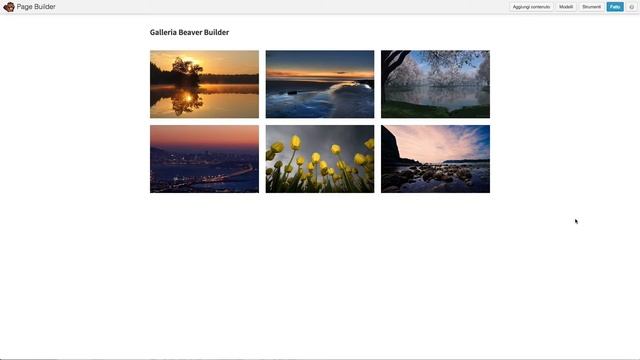 Beaver Builder + NextGEN Gallery e Envira Gallery смотреть онлайн