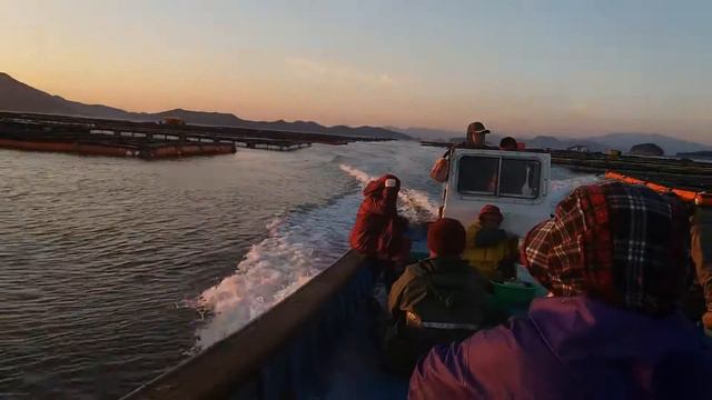 рабочий закат в корее смотреть онлайн