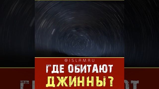 Где обитают джинны? смотреть онлайн