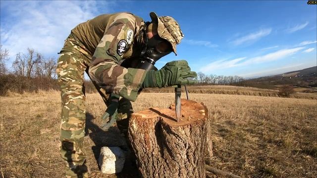 COLD STEEL SRK - AUS8 STEEL - KNIFE DESTRUCTION TEST - UNTIL IT BREAKS @SurvivalLilly @csknives смотреть онлайн