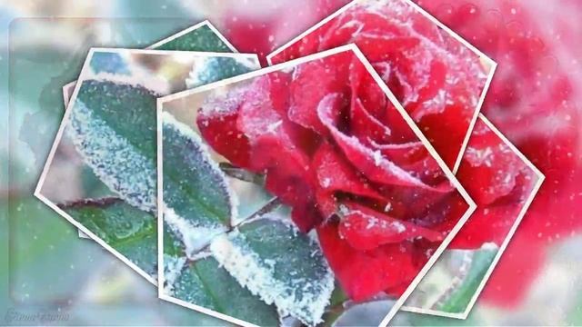 Снег на розах (минусовка) смотреть онлайн