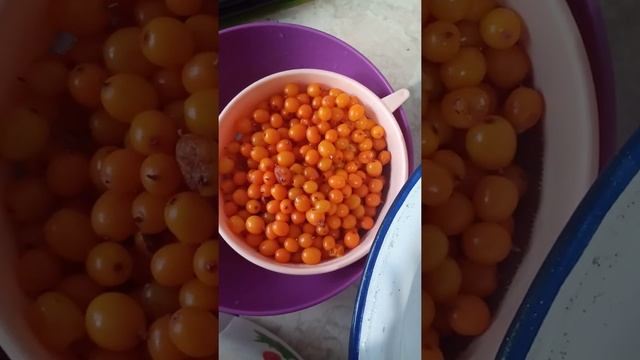 Русский каркадэ. Витаминная паста. смотреть онлайн