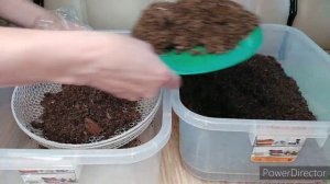 Грунт Агробалт С для Глоксиний и Фиалок неудачная партия