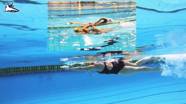 РАЗБОР ОШИБОК В ТЕХНИКЕ №3  Как Быстро научиться плавать кролем