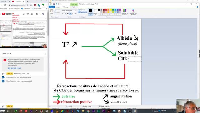 COURS SPE SVT TS 18/06/2020 SUITE смотреть онлайн
