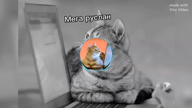почему котикам компютеры не нравиться песня под бит Мега руслан смотреть онлайн