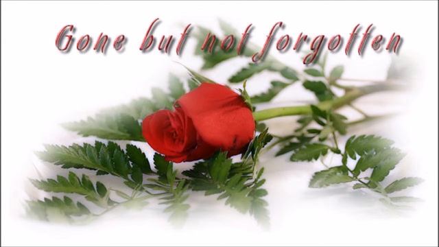 Memorial of a Lost One [FanFic Reading] (SadFic, Slice of Life) смотреть онлайн