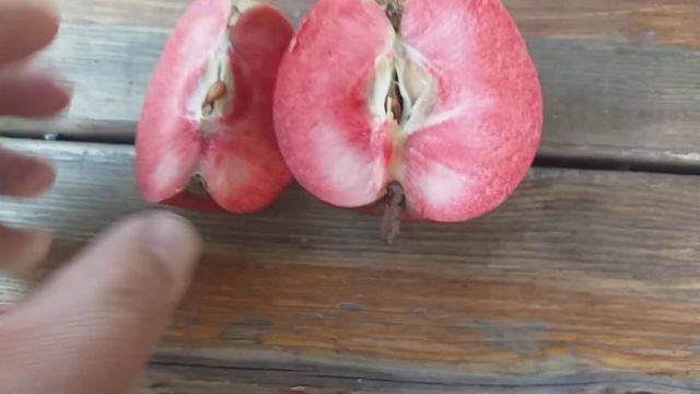 Яблоня красномясая сорт Байя Мариса(Apple Baya Marisa ). Дегустация