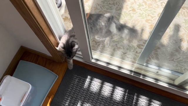 Мексиканский суп с лима. Чудеса на кухне.?