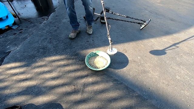 Gold Monster 1000 And Gold Bug 2 Metal Detectors -VS- 30 Year Old Whites Gold Master II.. What?