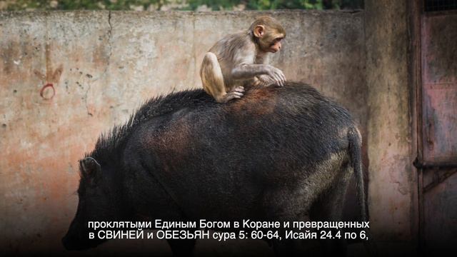 Что значит признание США, странами ЕС и другими цивилизованными странами ГЕНОЦИДА АРМЯН турками? смотреть онлайн