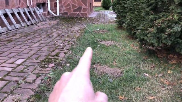 Как правильно сажать смородину,способ посадки смородины смотреть онлайн