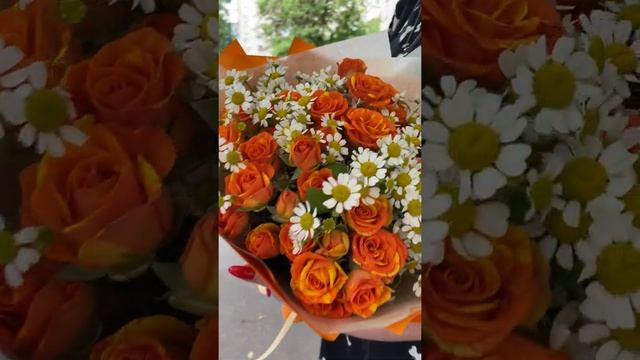 Оранжевая кустовая роза с ромашками смотреть онлайн