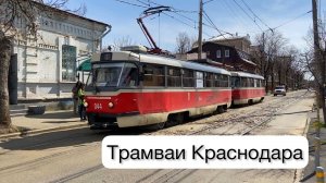 Трамваи Краснодара