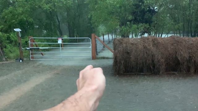 Tropical Storm Imelda VS Ima Survivor Sanctuary: WE WON! смотреть онлайн