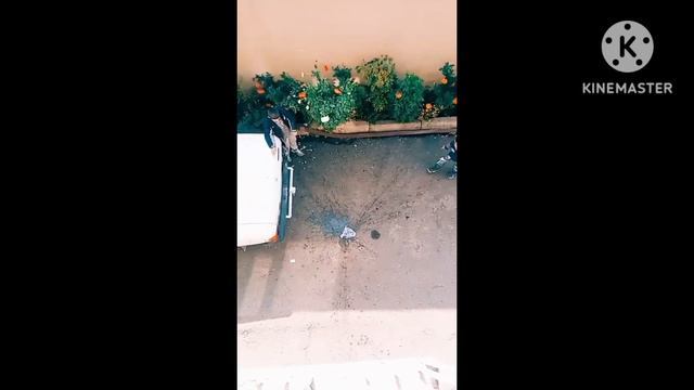 Лови Аптечку Сборка. смотреть онлайн