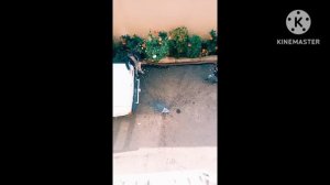 Лови Аптечку Сборка.