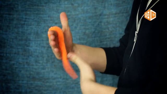 Байло Domatv By